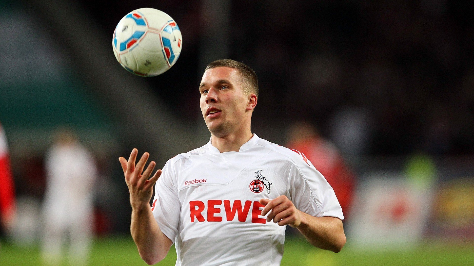 埃弗顿球迷组织开展慈善活动获好评，埃弗顿小球迷