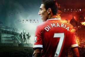 开云体育在线入口-埃弗顿球迷组织开展慈善活动获好评，埃弗顿小球迷