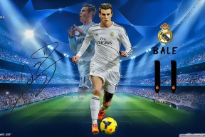 开云官网登录-《Apex Legends》线上线下联动赛事，玩家热情高涨，apex英雄联赛